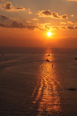 城ヶ島大橋から眺める日の出