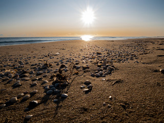 sun reflections on the deserted beach