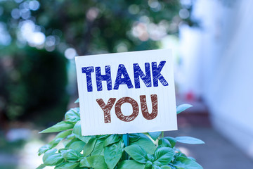 Word writing text Thank You. Business photo showcasing replaying on something good or greetings...