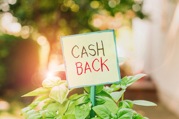 Conceptual hand writing showing Cash Back. Concept meaning denoting a form of incentive offered to...