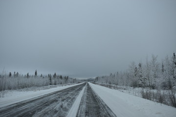 carretera en invierno entre bosque nevado