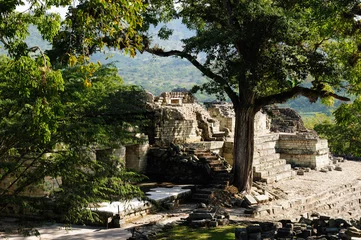 Foto op Aluminium Copan Mayan ruins in Honduras © Rafal Cichawa