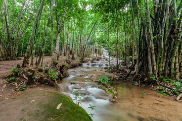 Obraz premium Beautiful Waterfalls at Khuean Srinagarindra National Park in Kanchanaburi, Thailand