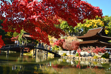 Obraz premium 虎渓山永保寺