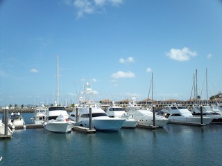 Fototapeta premium yates en la marina