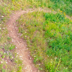 Obraz premium Square Close up of a dirt trail in the mountain of Park City Utah on a sunny summer day