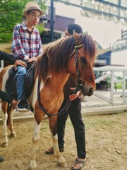 Obraz premium Horse and a child with special needs is riding with a close supervision teacher] This is a treatment called Hippotherapy, Life in the education age of disabled children, Happy disability kid concept.