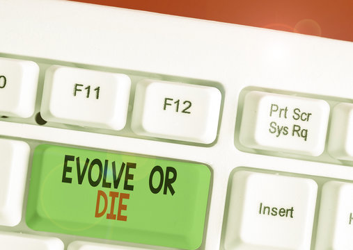 Handwriting text writing Evolve Or Die. Conceptual photo Necessity of change grow adapt to continue living Survival