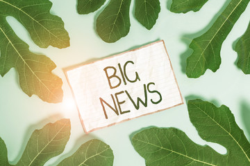 Handwriting text writing Big News. Conceptual photo knowing actions no one heard about it yet Teleporter journalist Leaves surrounding notepaper above an empty soft pastel table as background