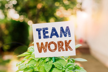 Word writing text Team Work. Business photo showcasing Combined action of a group Workgroup cooperation collaboration Plain empty paper attached to a stick and placed in the green leafy plants