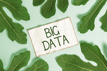 Handwriting text writing Big Data. Conceptual photo sets that so complex that traditional software cant deal with them Leaves surrounding notepaper above an empty soft pastel table as background