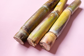 Sugar cane stick on pink background