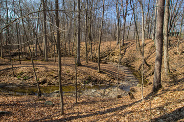 Early Spring in Highbanks Metropark, Columbus, Ohio
