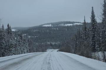 carretera en invierno entre bosque nevado