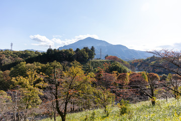 羊山公園見晴らしの丘から武甲山を望む