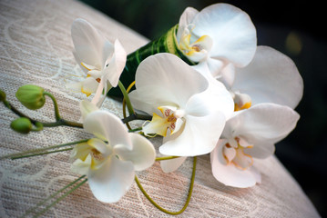 Elegant Bridal Teardrop Bouquet of White Phalaenopsis / Moth Orchids. Wedding Flowers.