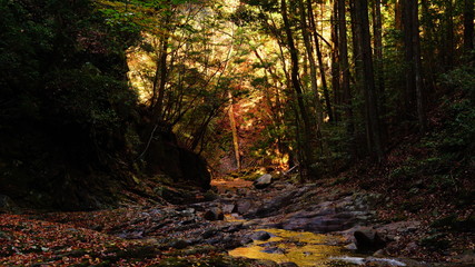 秋の赤目四十八滝