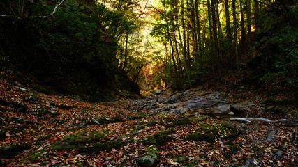 秋の赤目四十八滝