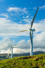 ニュージーランド　テアピティウィンドファームの風力発電　Te Apiti Wind Farm