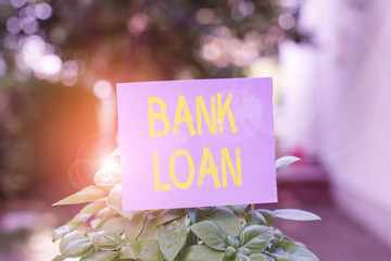 Handwriting text Bank Loan. Conceptual photo an amount of money loaned at interest by a bank to a borrower Plain empty paper attached to a stick and placed in the green leafy plants