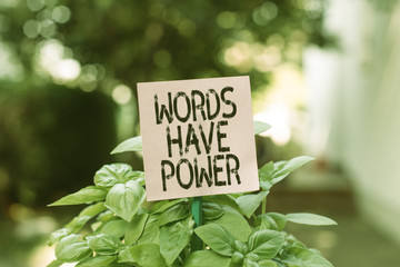 Text sign showing Words Have Power. Business photo showcasing Energy Ability to heal help hinder...
