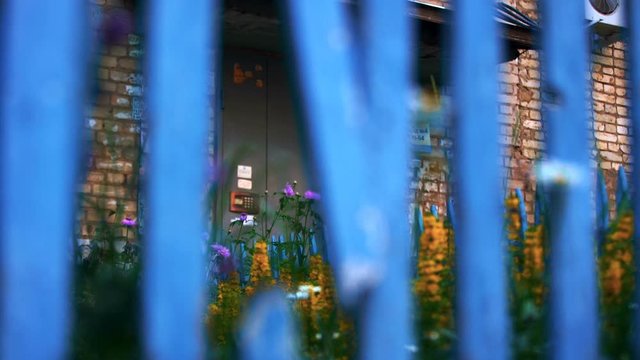 Through a broken blue wooden fence and many flowers, the iron door of a multi-storey building with an intercom is visible