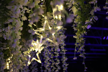 Obraz premium stars and plants