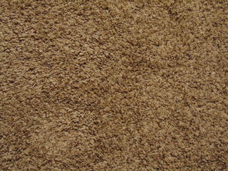 texture fur