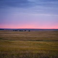 Obraz premium Grassland