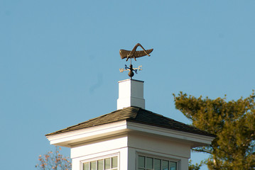 Weather Vane with Cardinal Points, are designed and installed to turn to show the wind direction