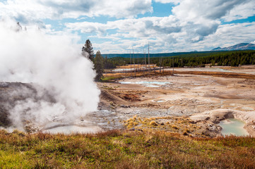  geyser in yellowstone national park