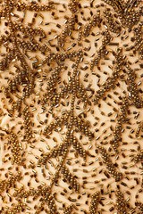 Fabric with sequins and sequins of bright colors. Fashion glitter fabric, sequins. Shiny surface