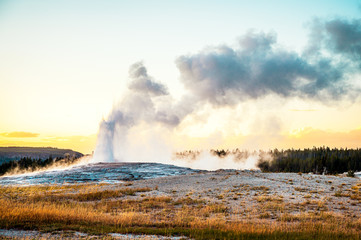 old faithful geyser in yellowstone national park