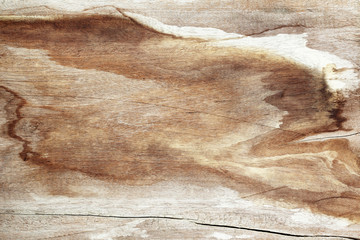 Wood texture natural vintage for background.