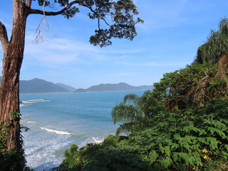 Fototapeta na wymiar Views of the beach and surrounding trees.