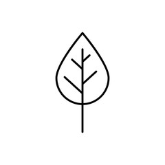 leaf plant nature isolated icon