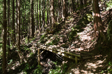 鷹ノ巣山、山道の橋