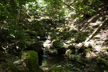 鷹ノ巣山、山の水場