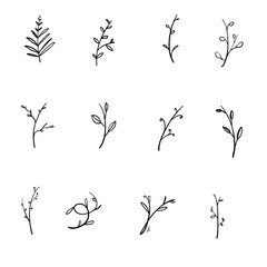 Hand drawn floral elements. Vintage leaves botanical illustrations. with doodle style vector isolated on white