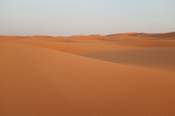 Fototapeta na wymiar Shifting sand dunes in the desert near Riyadh, Saudi Arabia