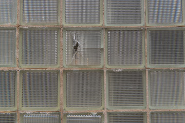Wall of glass block windows with one shattered block