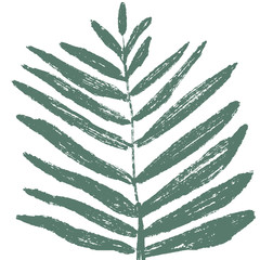 Hand drawn isolated tropical leaf. Simple vector illustration.