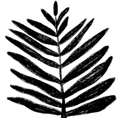 Hand drawn isolated tropical leaf. Simple vector illustration.
