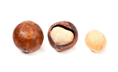 Macadamia nuts isolated on a white background.