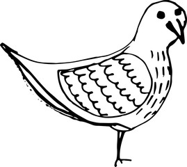 Ink hand drawn bird sketch. Vector outline illusytation