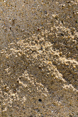 Grain sand texture close up background 