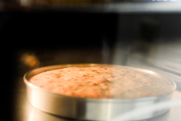 Cake is baked in the oven