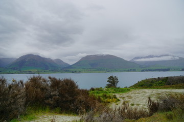 A foggy day in a spring time in the country side of Glenorchy, New Zealand