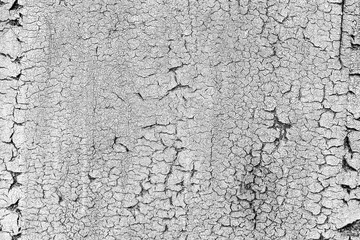 Texture, wood, wall, it can be used as a background. Wooden texture with scratches and cracks