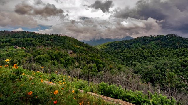 Green Field and flowers Smoky Mountains  and Clouds Timelapse